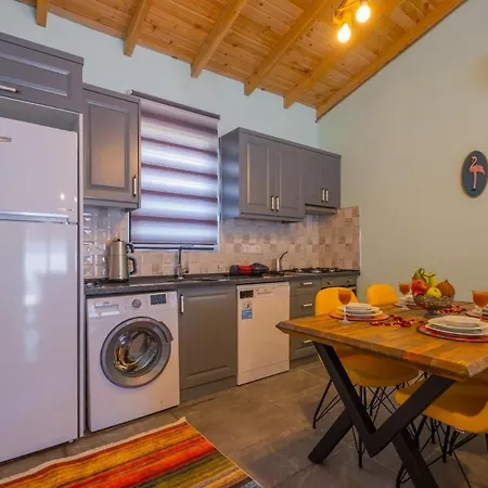 Ozbi-conservative In Camkoy For 4 Person Vila Fethiye