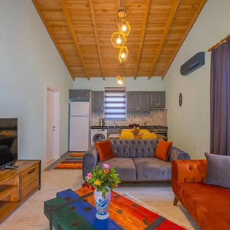 Ozbi-conservative In Camkoy For 4 Person Vila Fethiye